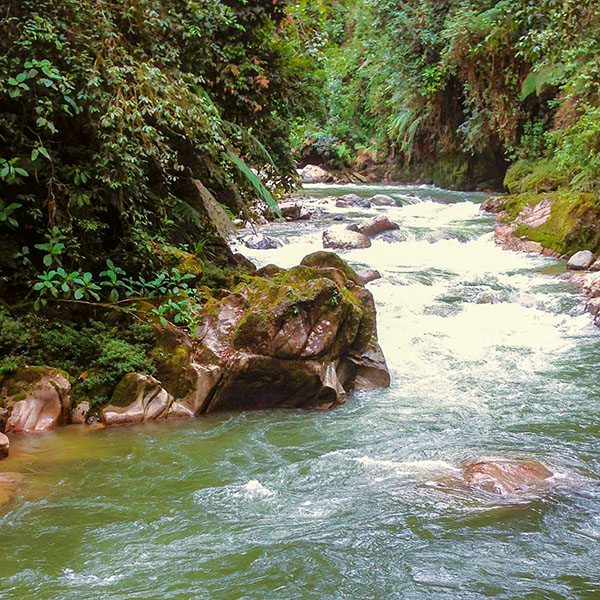 Fluss in Kolumbien, Sinnbild für Heilung und Reinigung