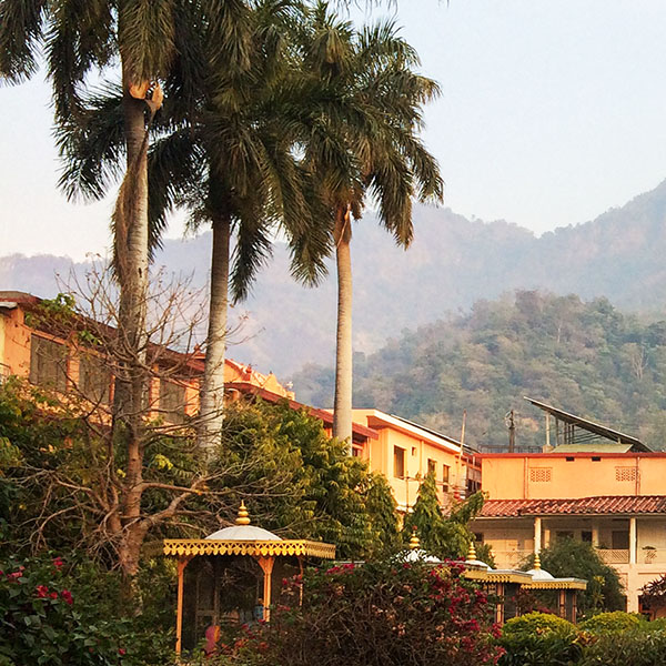 Aussicht auf Berge mit Gebäude und Palmen davor in Indien - Katharina Treder Heilpraktikerin für Psychotherapie